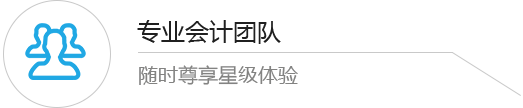 專業(yè)會(huì)計(jì)團(tuán)隊(duì)